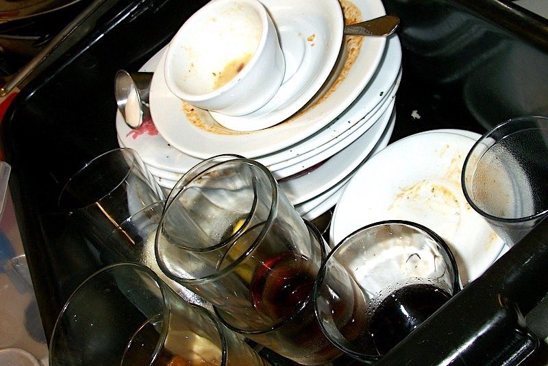 Dishes | Effective Soil And Water Conservation Tips For Homesteading