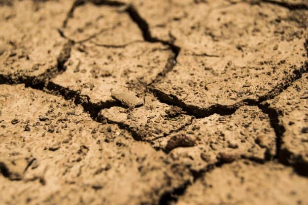 Global Temperature Will Rise Up to Six Degrees | 7 Climate Change Facts To Know | Homestead Preparedness