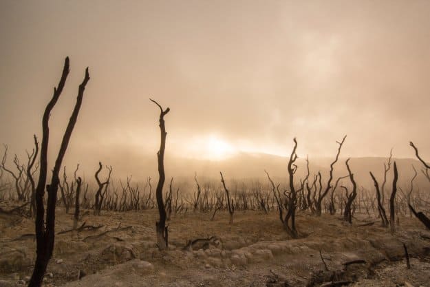 It's getting warmer | 7 Climate Change Facts To Know | Homestead Preparedness