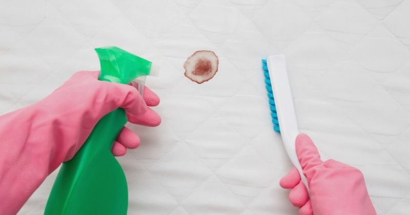 dry cleaners employee hands rubber protective gloves | Ways To Use A Vinegar Cleaning Solution To Disinfect Your Home