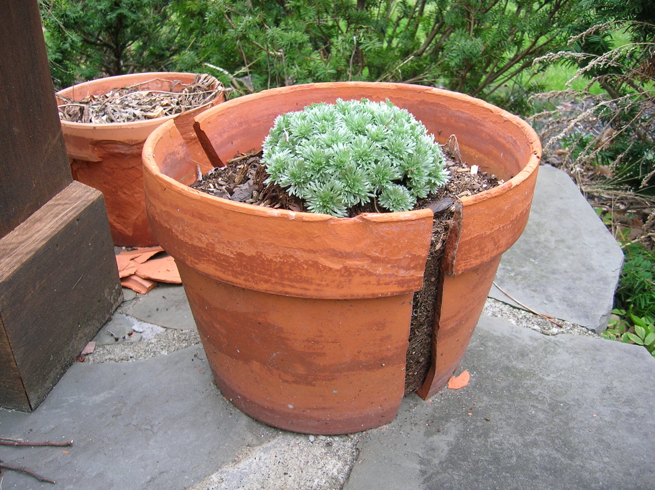 Cracked Flowerpots | 50 Uses of Shoe Goo - It's Not Just for Shoes! Cracked Flowerpots | 50 Uses of Shoe Goo - It's Not Just for Shoes!
