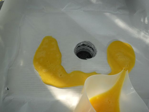 Pour Egg Mixture | Dehydrating 101 Series.....Eggs
