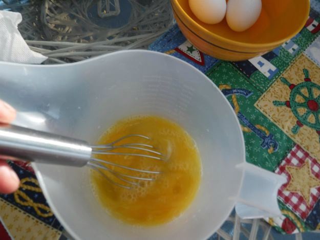 Scramble Well | Dehydrating 101 Series.....Eggs