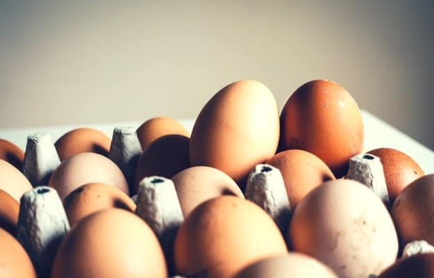 1 year of eggs requires 65 sq. ft.| Living Off the Grid: How Much Land Do You Need?