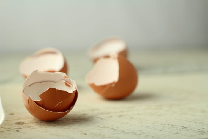 eggshell uses