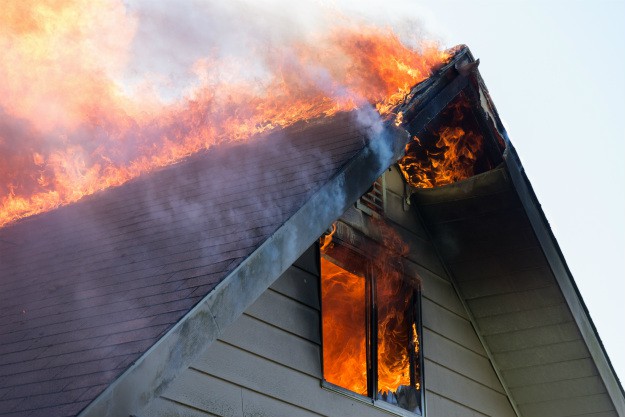 5 Things Homesteaders Should Save Money For This Spring emergency