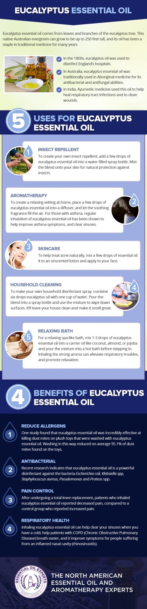 Eucalyptus Oil Uses And Benefits Around The Homestead