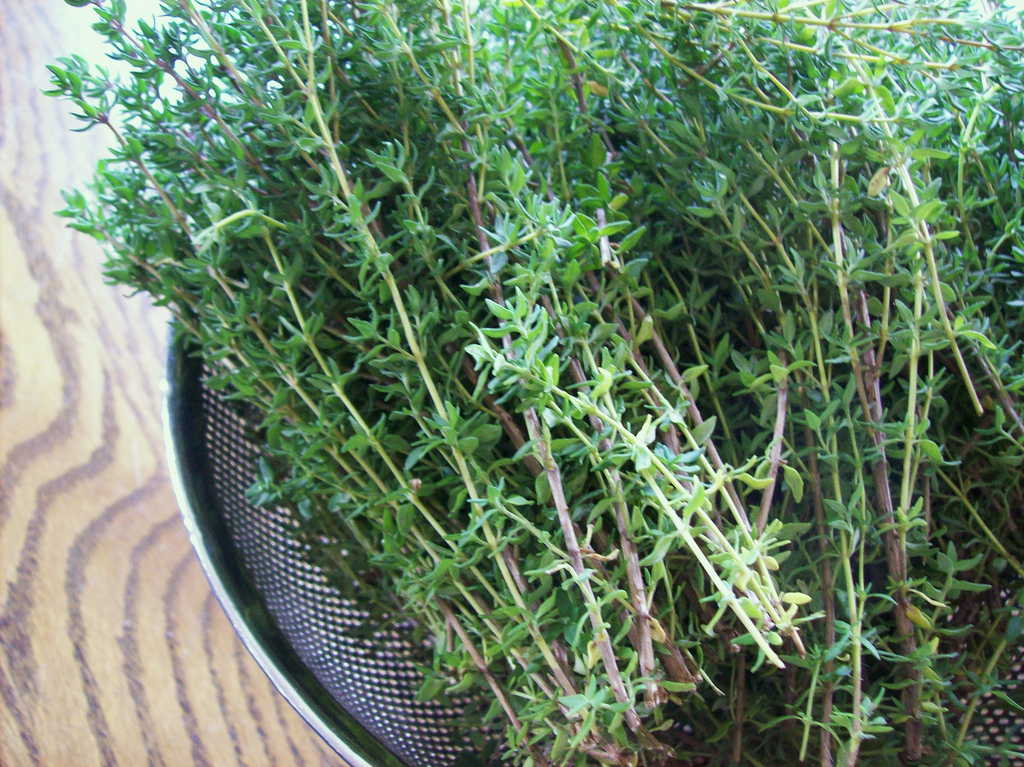 Thyme | Homemade Recipes For Cold And Flu