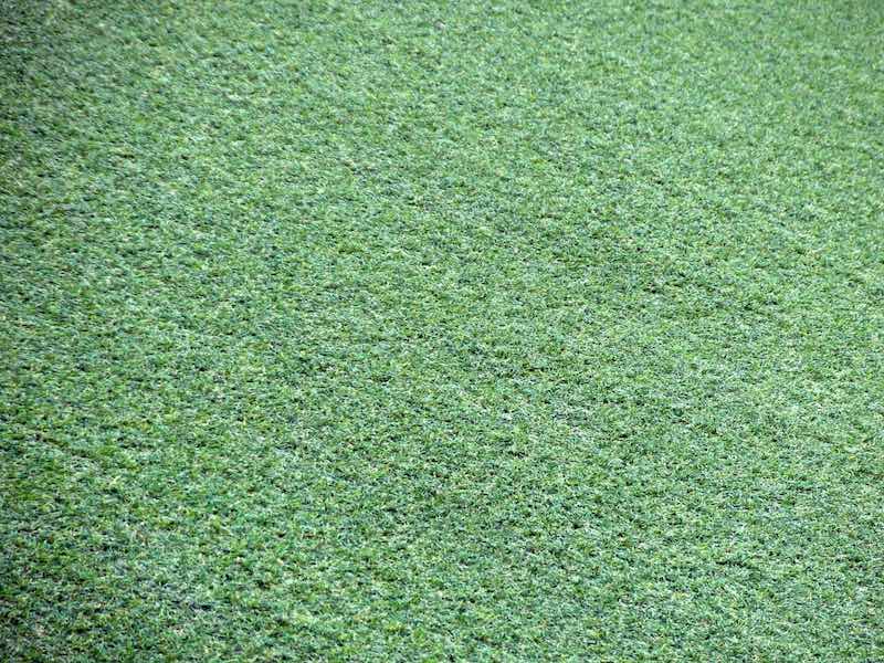 fake grass | How To Save on Water Bill In Smart Ways | how to save on water bill