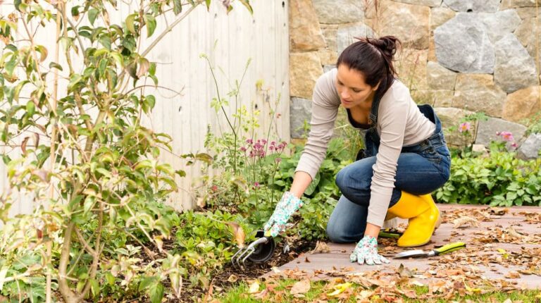 Top 10 Fall Gardening Tips | How To Prepare Your Garden For Spring