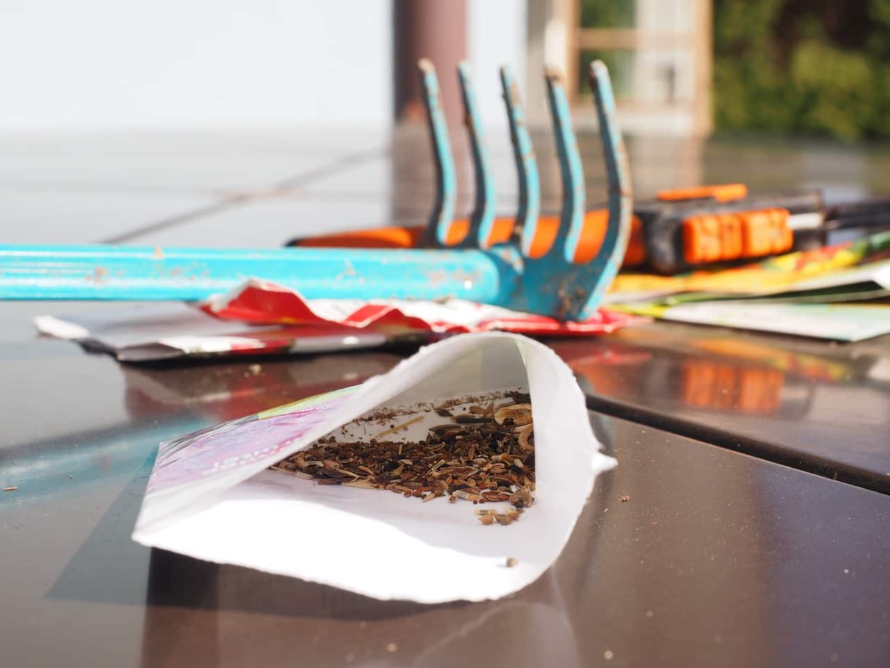 Save Seeds | Top 10 Fall Gardening Tips | How To Prepare Your Garden For Spring