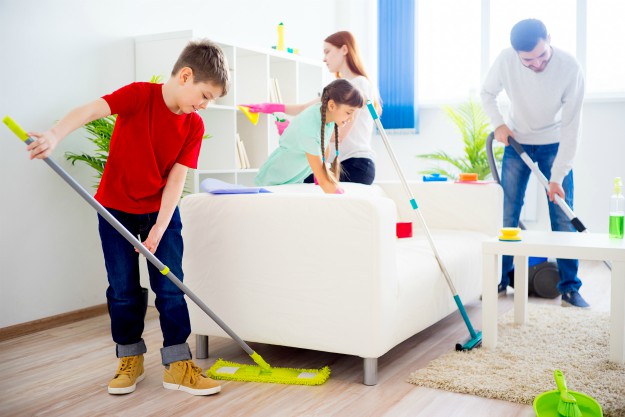 Family cleaning house | Eucalyptus Oil Uses And Benefits Around The Homestead