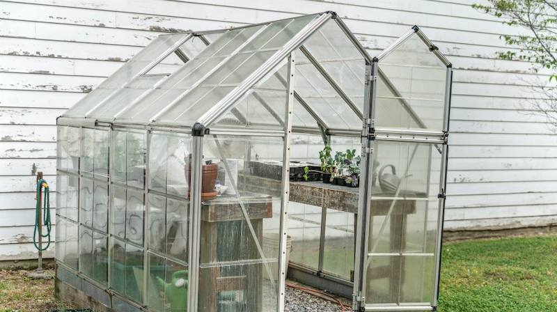 greenhouse on spring day | Homesteading Activities You Should Do This Spring | spring activities | spring preschool activities