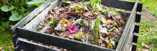 compost-bin