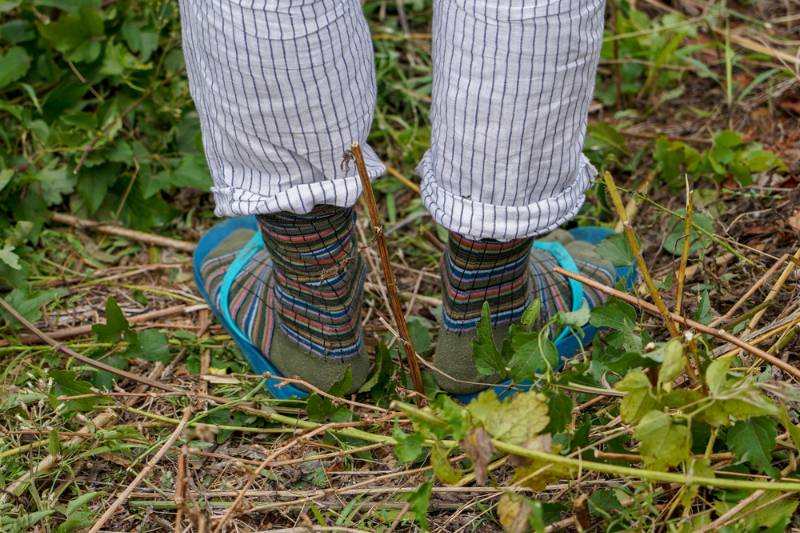 female-feet-funny-socks-on-standing | How To Get Rid Of Chiggers Naturally: The Ways and Whys