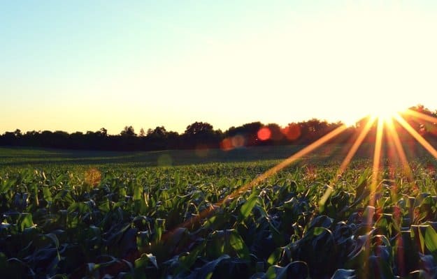 You will need a backyard that is at least 89, 050 sq. ft. This is about 2 acres. | Living Off the Grid: How Much Land Do You Need?