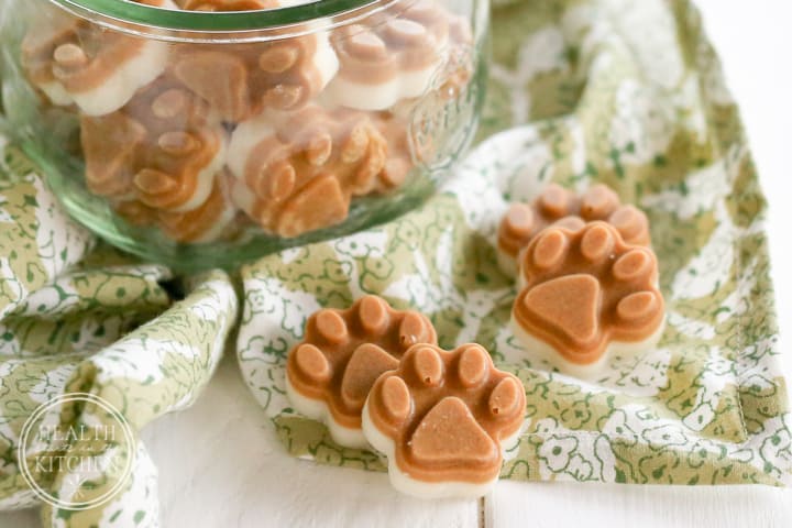 Homemade Flea Prevention Dog Treats | 17 Healthy Homemade Pet Food Recipes And Treats
