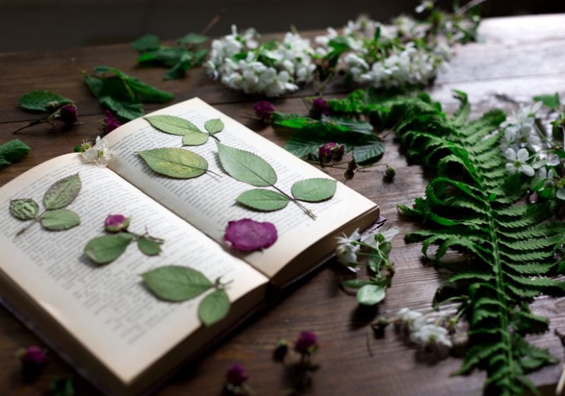 floral mix fresh cutted pressed dried | diy valentine gifts for her