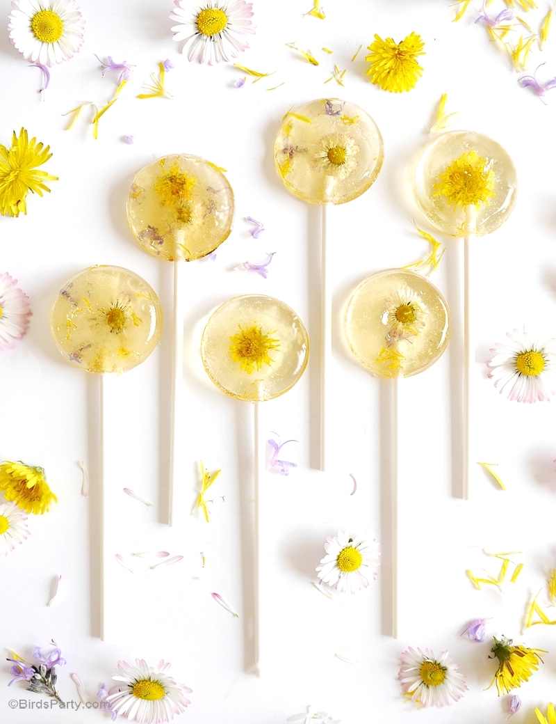 Honey and Lemon Floral Lollipops | 16 Amazing Dandelion Recipes To Make From Your Pulled Weeds