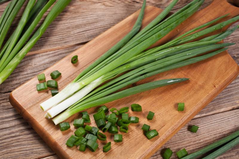 fresh green onions | Fall Vegetables You Should Start Planting Now