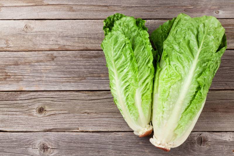 fresh romano salad on wooden table | Fall Vegetables You Should Start Planting Now | fall crops
