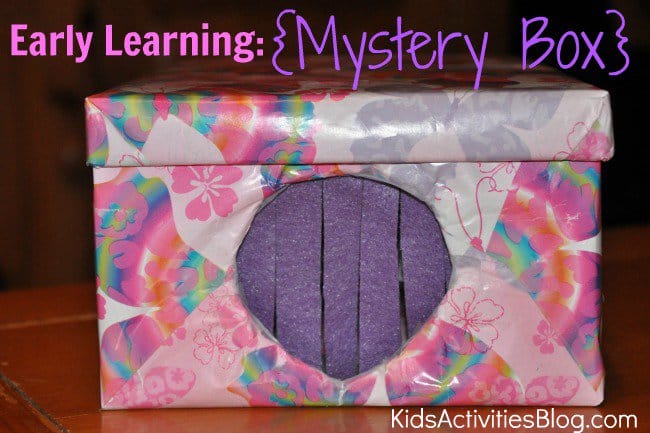 Mystery Sensory Box | Fun Activities for Kids at Home Get Through a Winter Storm Indoors