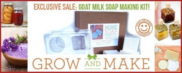 goatmilksoapkit