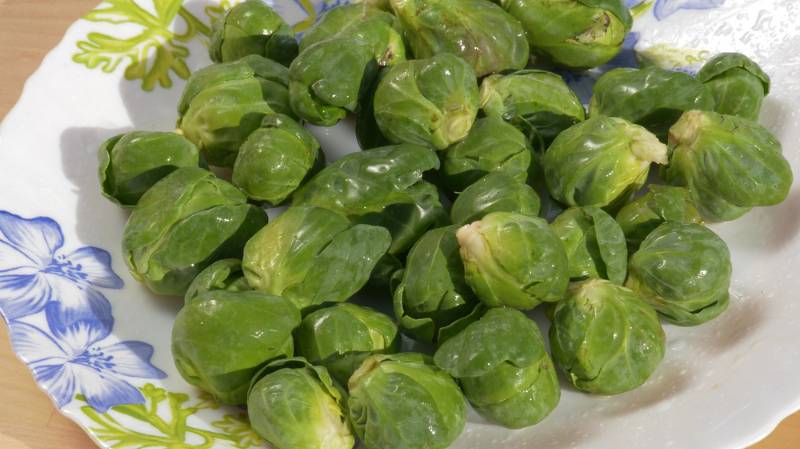 green fresh brussel sprouts | Fall Vegetables You Should Start Planting Now