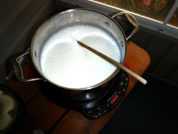 Doing Dairy: Why Homemade Feta is Always Bettah! 