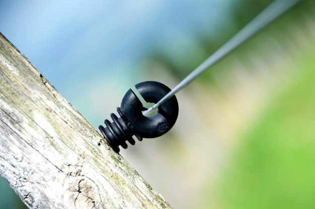 Fencing Frenzy: Choosing the Right Fence For Your Homestead