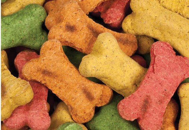 homemade-dog-biscuits