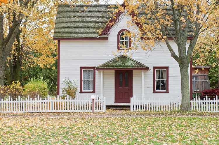 homesteading tips