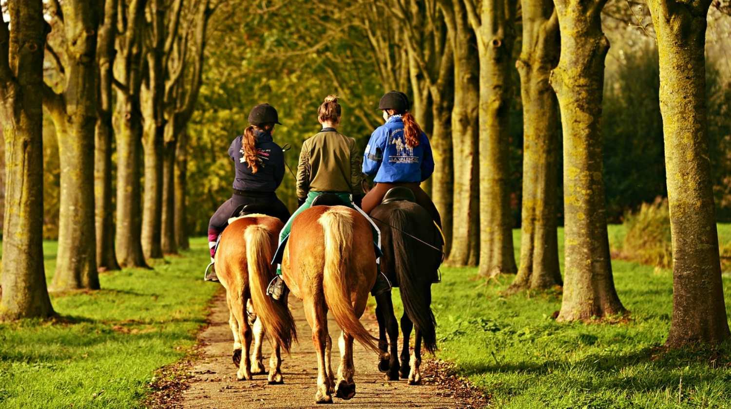 Featured | Women riding horseback | Horseback Riding The Right Way | How to Ride a Horse