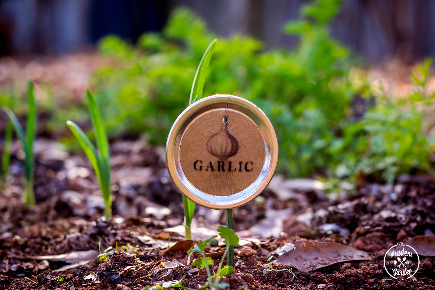 Mason Jar Lid Garden Markers | A Guide to Upcycled Homesteading Mason Jar Lid Garden Markers | A Guide to Upcycled Homesteading