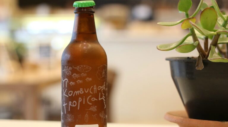 Featured | Kombucha Drink | How to Make Kombucha Tea