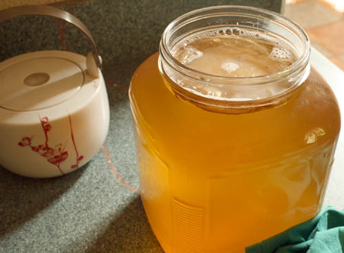 Kombucha Recipe 