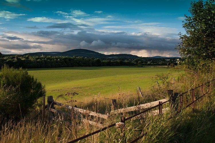 land for homesteading