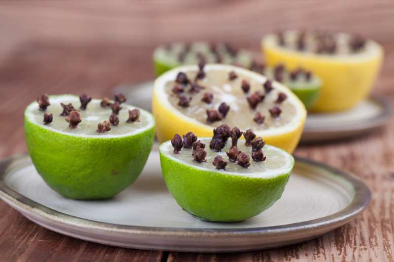 lemon-limes-cloves-natural-insect-repellent 