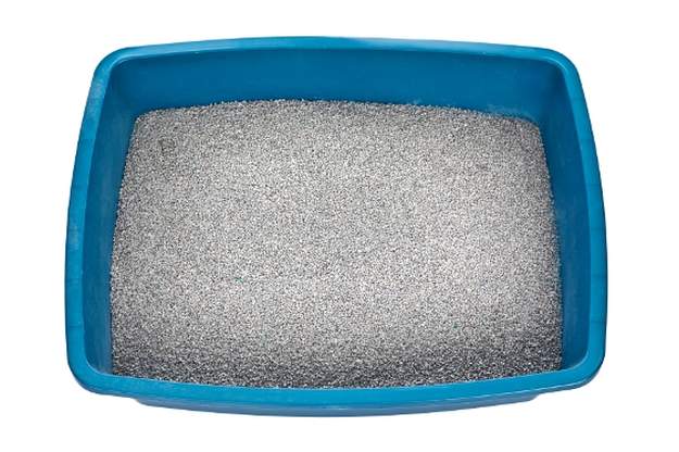 Use Cat Litter | Eliminate Musty Smell in Basement With These 6 Tips