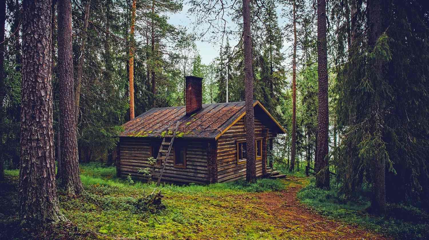 Feature | Log cabin cottage | 55 Top Survival Blogs: Follow These in 2018