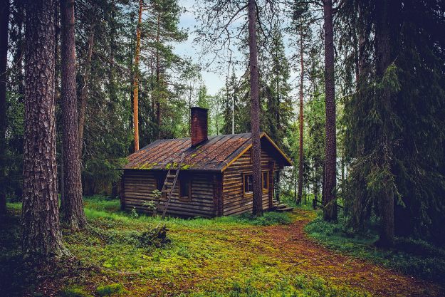 Log cabin cottage | Homesteading Today | 300+ Ideas To Get You Started