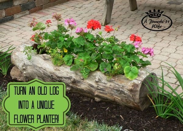 Log Planter | A Guide to Upcycled Homesteading Log Planter | A Guide to Upcycled Homesteading