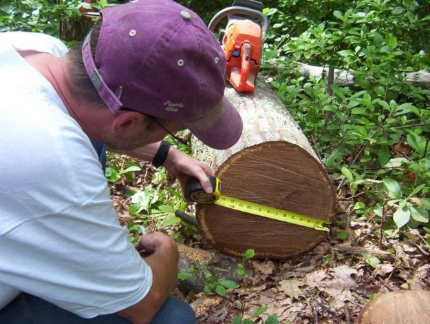 Marking Logs