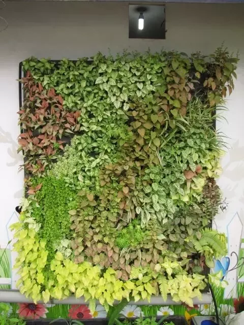 DIY Hydroponics Living Wall | Amazing Hydroponic Systems For Indoor Gardening