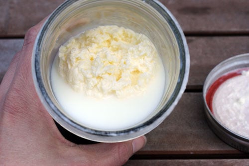 Step 2: Bright Yellow Solid And A Pale White Liquid | How To Make Butter In A Jar | Easy Project For Kids Step 2: Bright Yellow Solid And A Pale White Liquid | How To Make Butter In A Jar | Easy Project For Kids