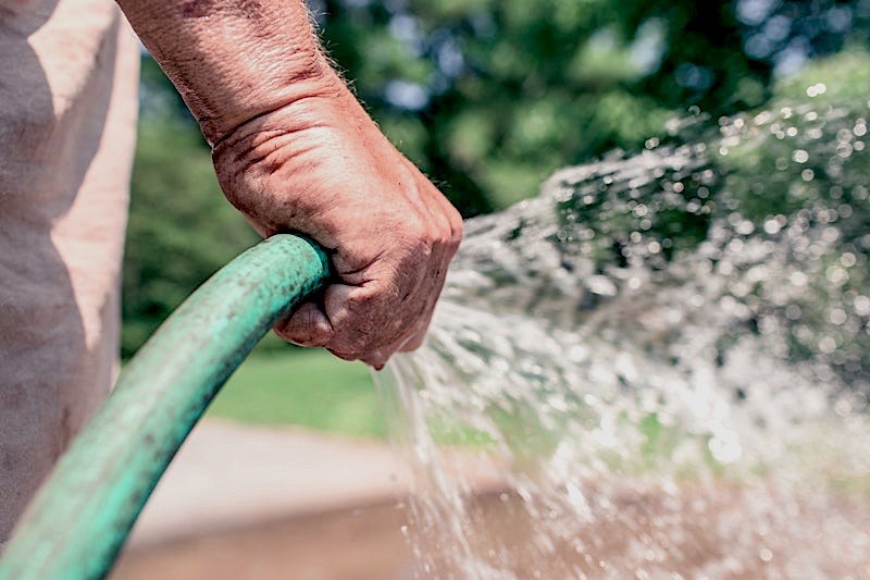 Man Hand Garden Growth | Effective Soil And Water Conservation Tips For Homesteading