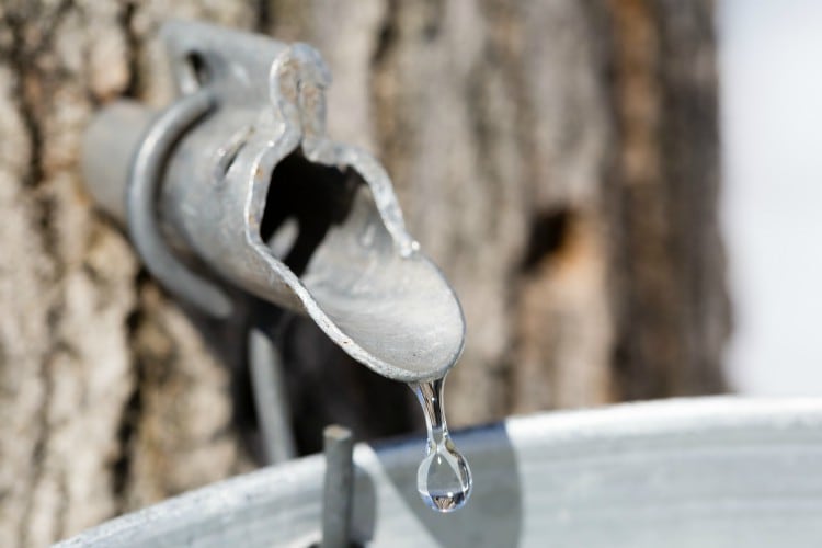 how to make syrup