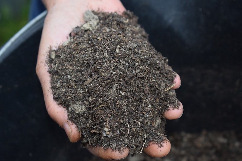 mulch | How To Save on Water Bill In Smart Ways | how to save on water bill
