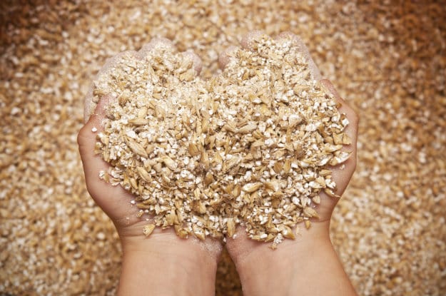 Top 15 Modern Homesteading Skills You Need To Know oats