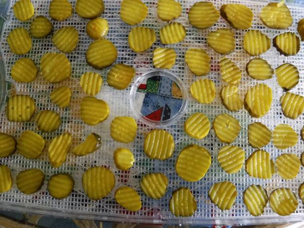 Place them on the dehydrator trays | How to Make Pickle Seasoning